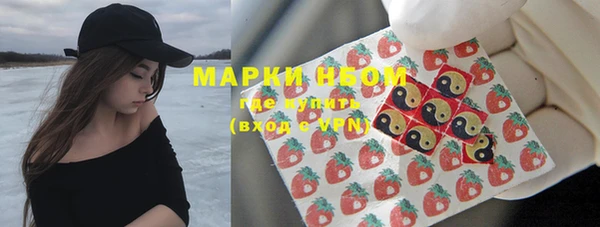 мдпв Кукмор