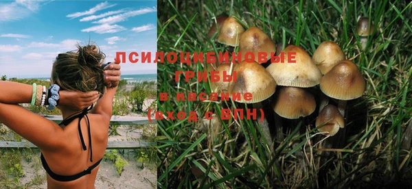 apvp Куйбышев