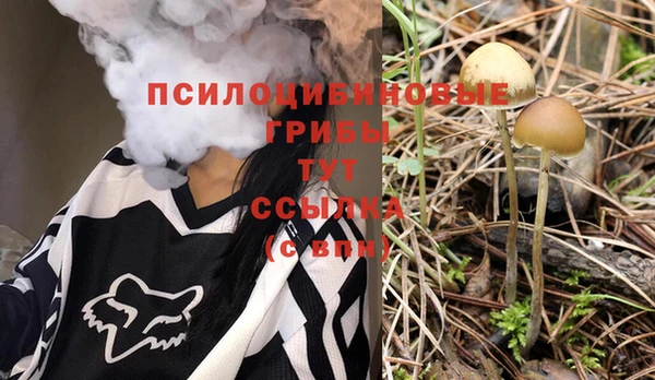 мдпв Кукмор