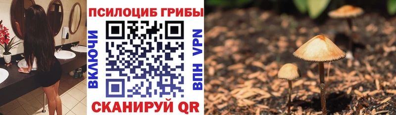 Псилоцибиновые грибы мицелий  как найти закладки  кракен зеркало  Лабытнанги 
